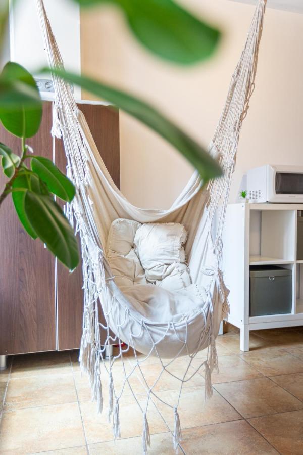 Dream Guesthouse Braşov Eksteriør billede