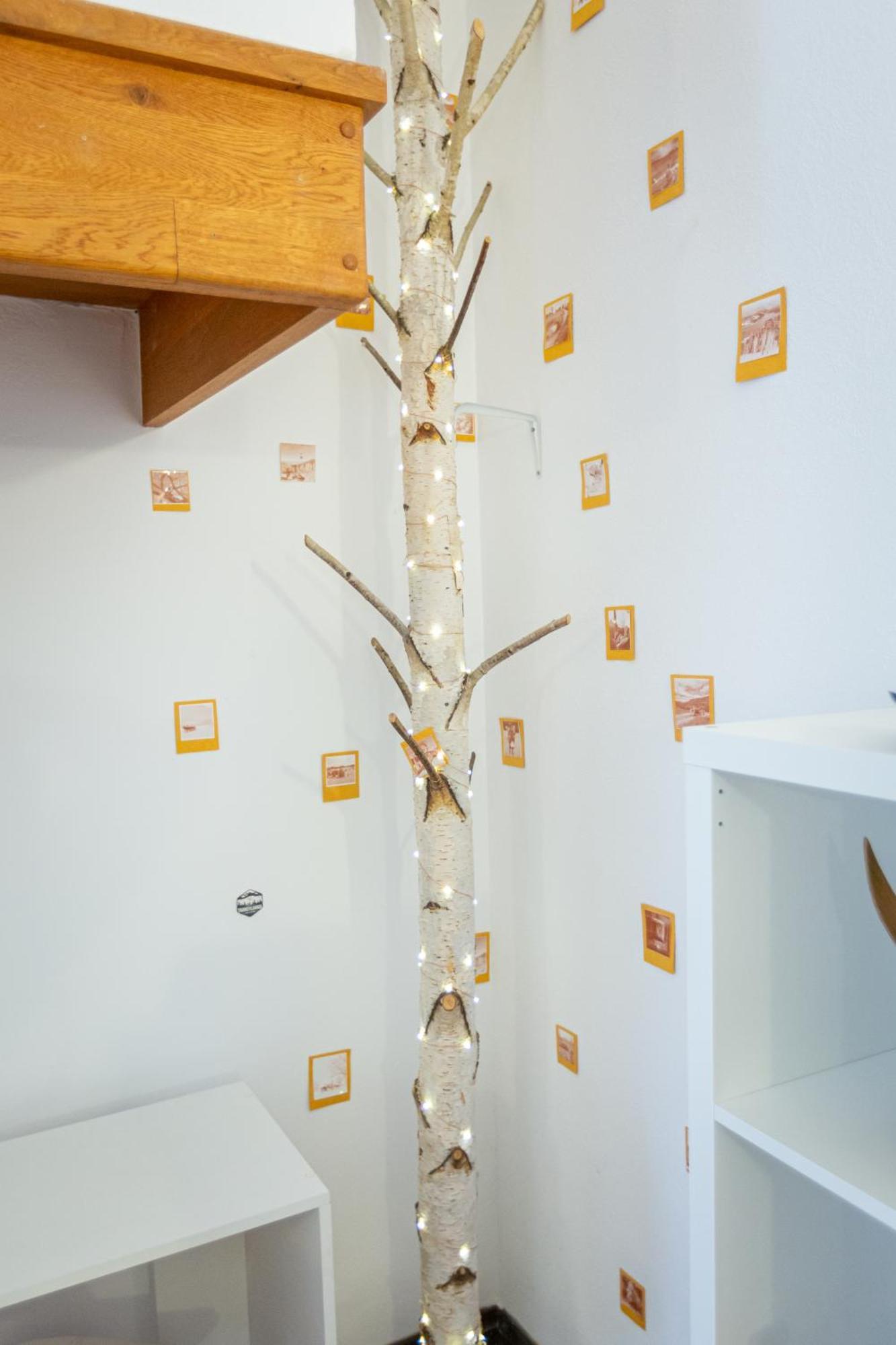 Dream Guesthouse Braşov Eksteriør billede