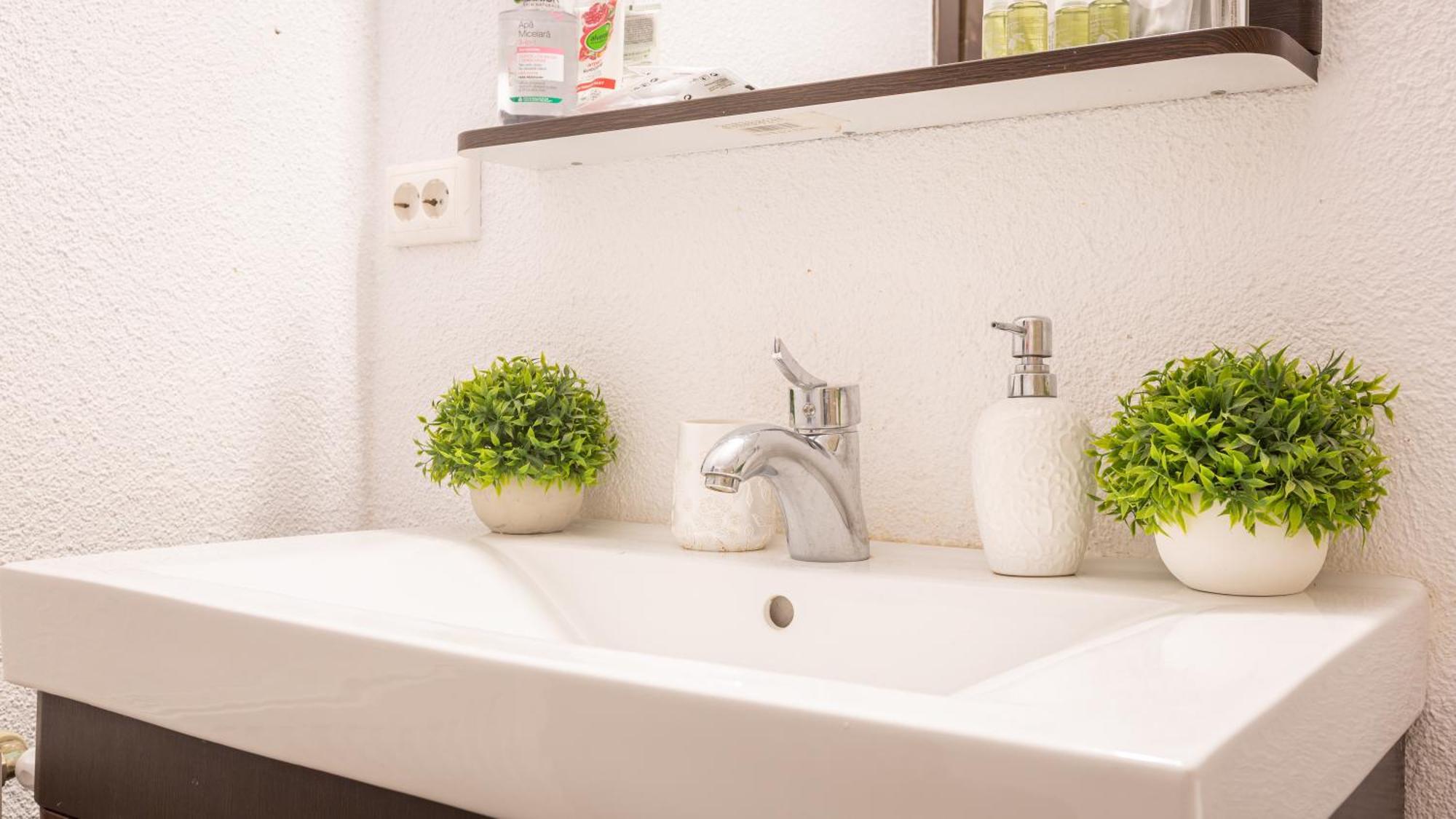 Dream Guesthouse Braşov Eksteriør billede